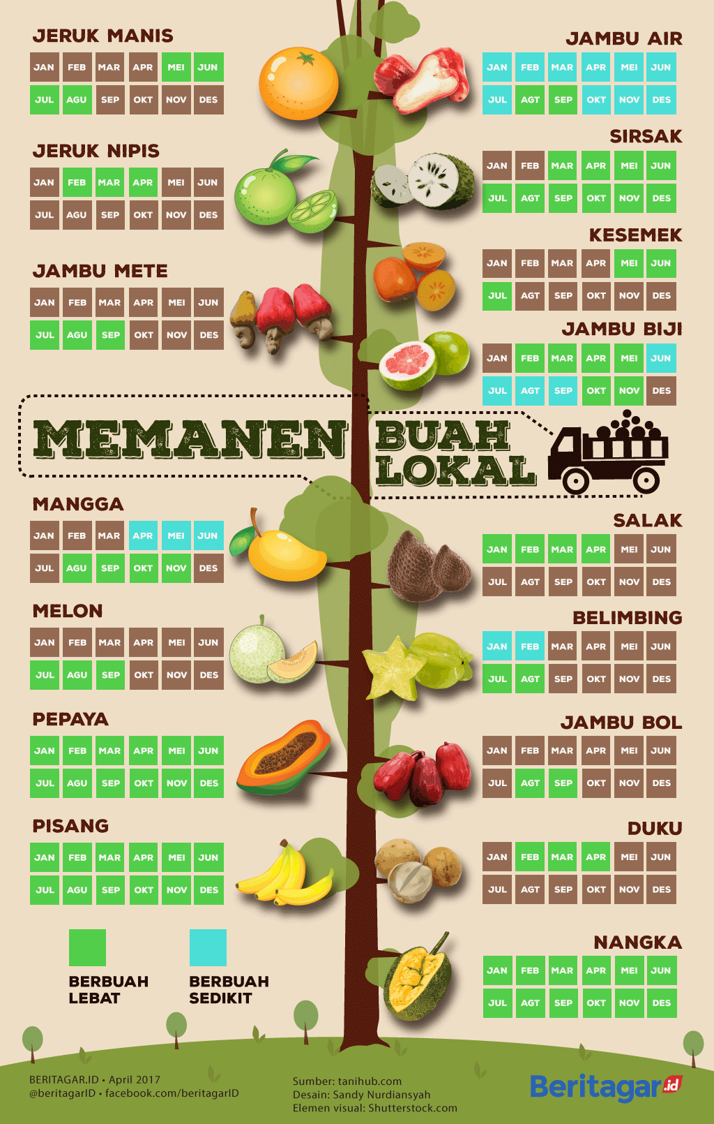 Detail Musim Berbuah Semangka Nomer 11