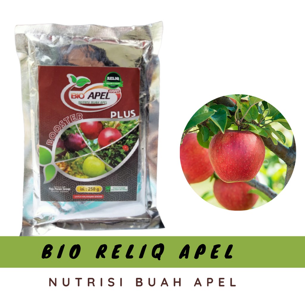 Detail Musim Berbuahnya Buah Apel Nomer 49