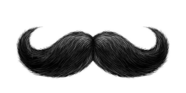 Detail Mustache Vector Png Nomer 46