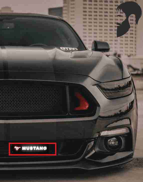 Detail Mustang Coyote Grill Badge Nomer 32