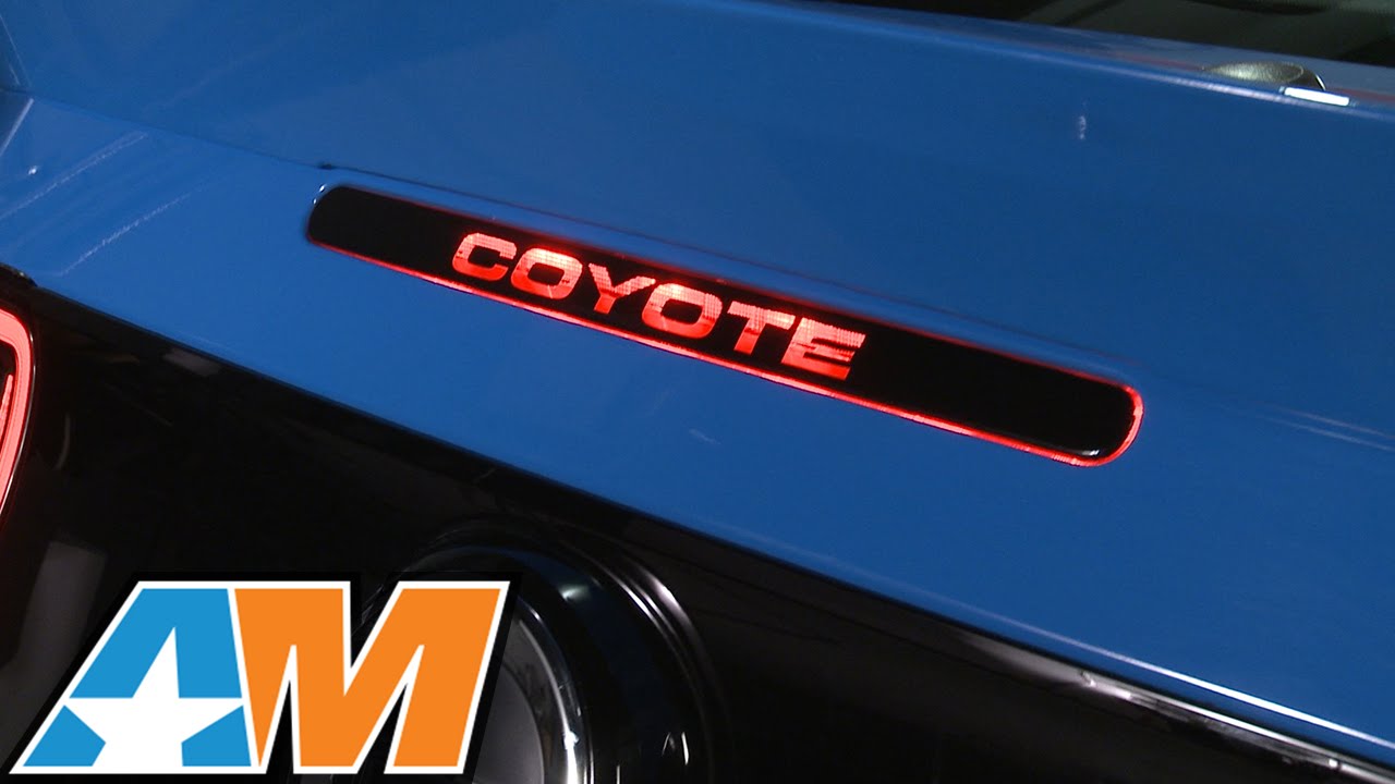 Detail Mustang Coyote Sticker Nomer 26