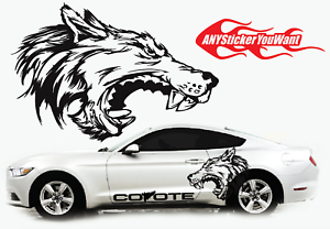 Detail Mustang Coyote Sticker Nomer 5