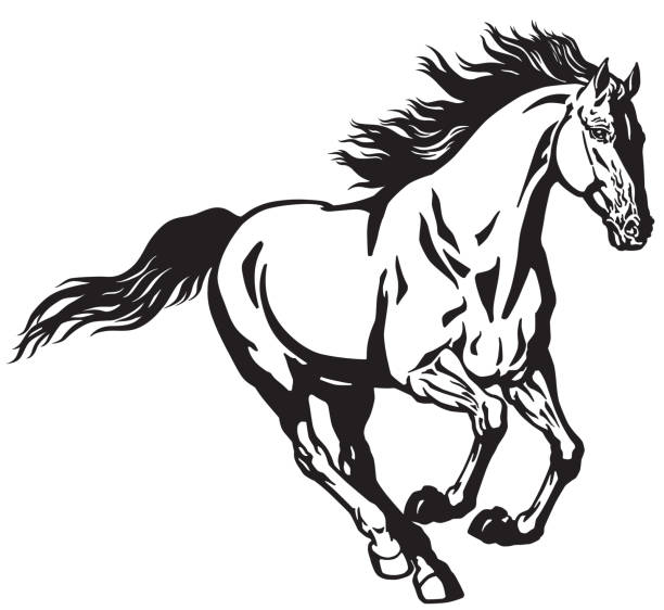 Detail Mustang Horse Clipart Nomer 19