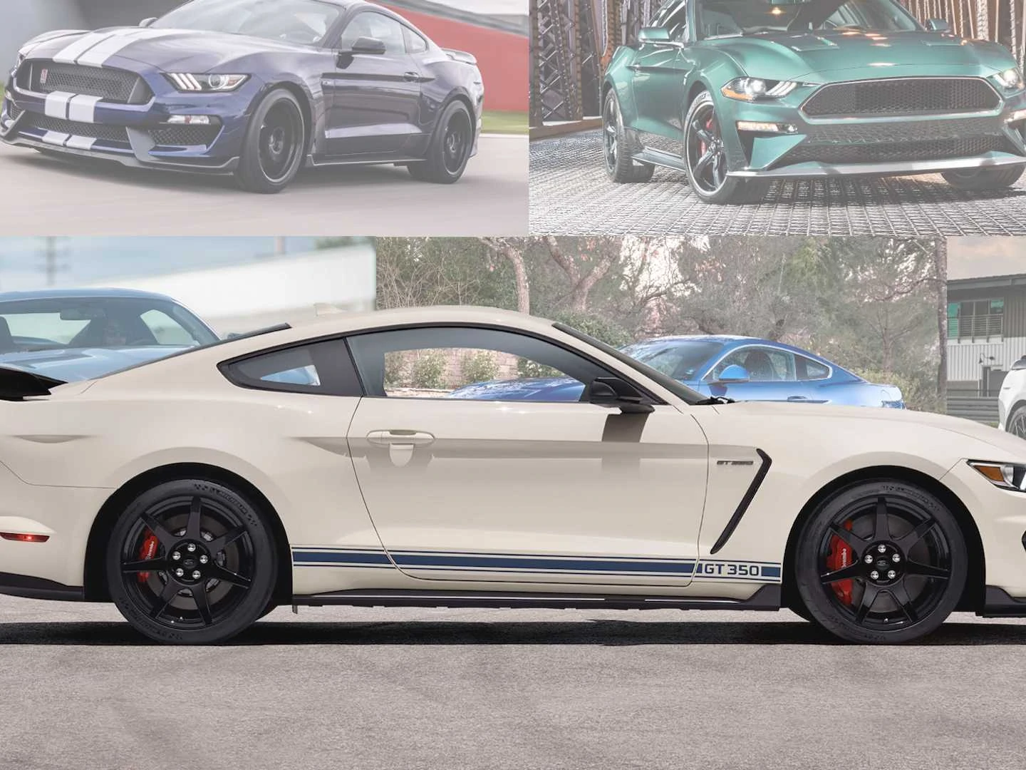 Detail Mustang Image Nomer 46