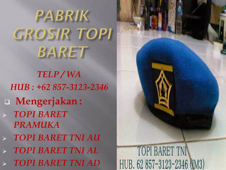 Detail Logo Baret Polisi Militer Nomer 16