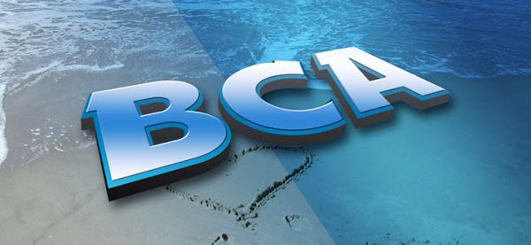 Detail Logo Bca Bank Nomer 36