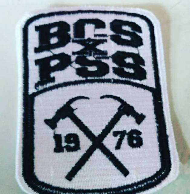 Detail Logo Bcs X Pss Nomer 46