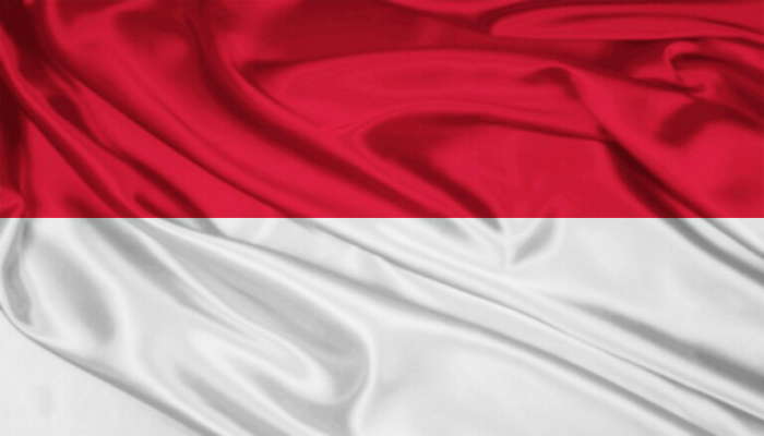 Detail Logo Bendera Nomer 6