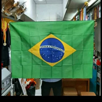 Detail Logo Bendera Brazil Nomer 40