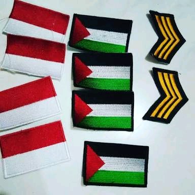 Detail Logo Bendera Palestina Dan Indonesia Nomer 6