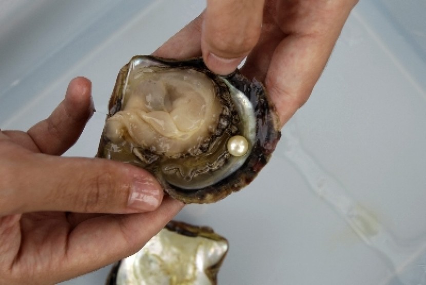 Detail Mutiara Dalam Laut Nomer 16