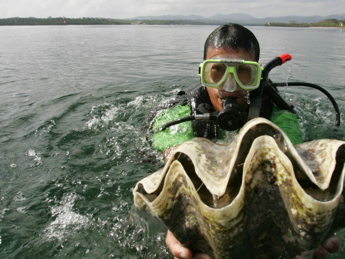 Detail Mutiara Dalam Laut Nomer 32