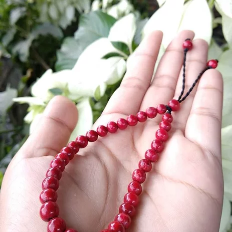 Detail Mutiara Dan Marjan Nomer 43