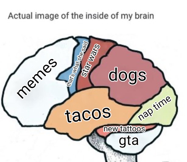 My Brain Meme - KibrisPDR