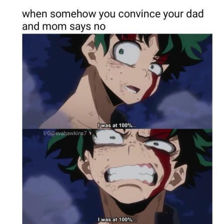 Detail My Hero Academia Meme Nomer 11