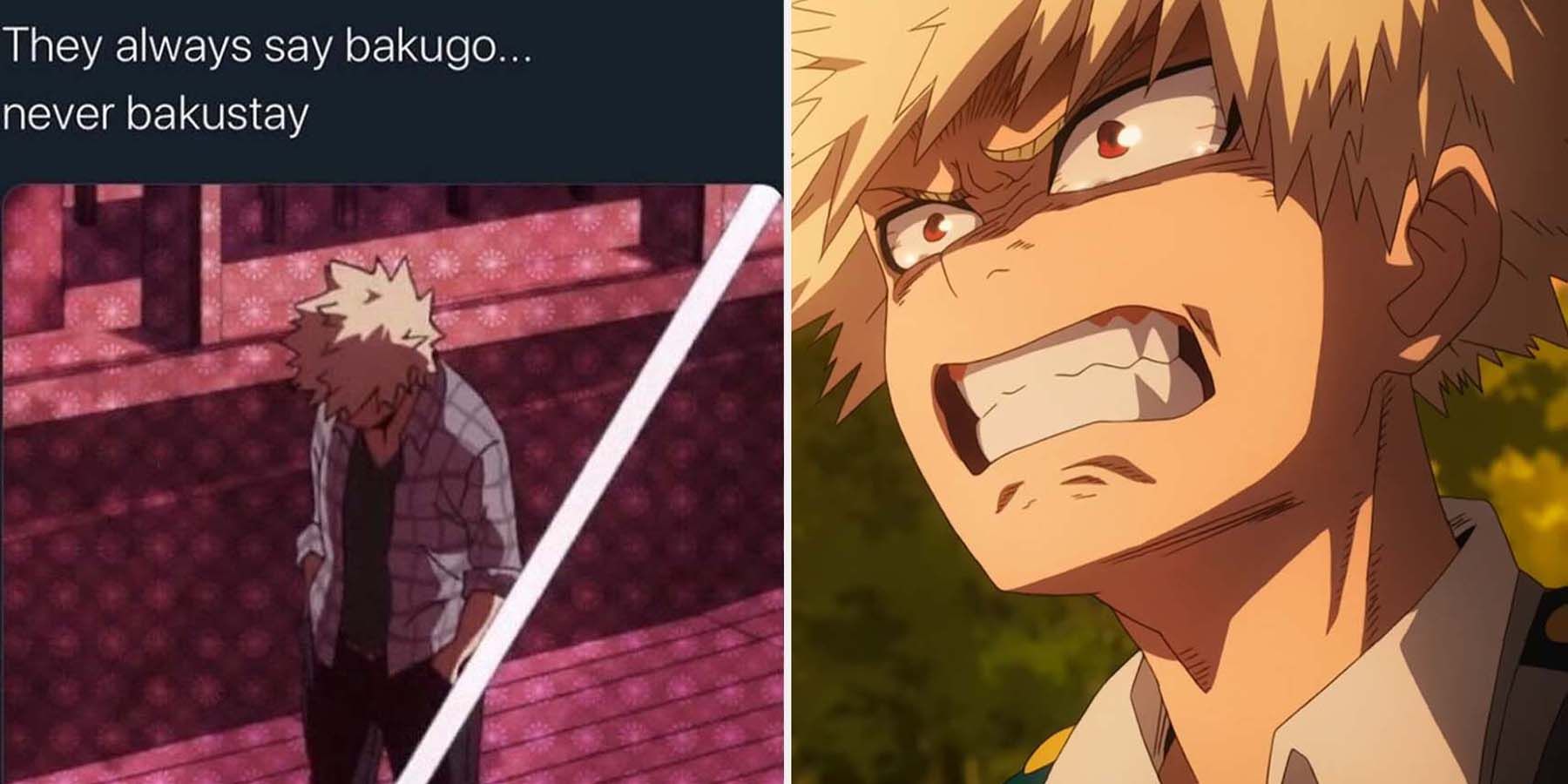 Detail My Hero Academia Meme Nomer 21