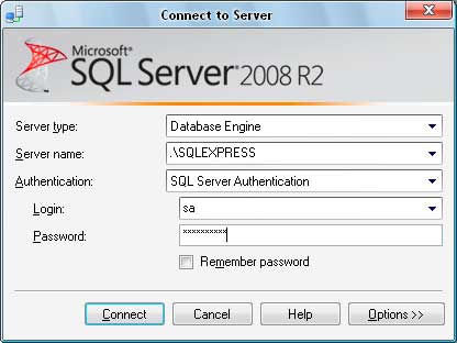 Detail My Sql Free Download Nomer 41