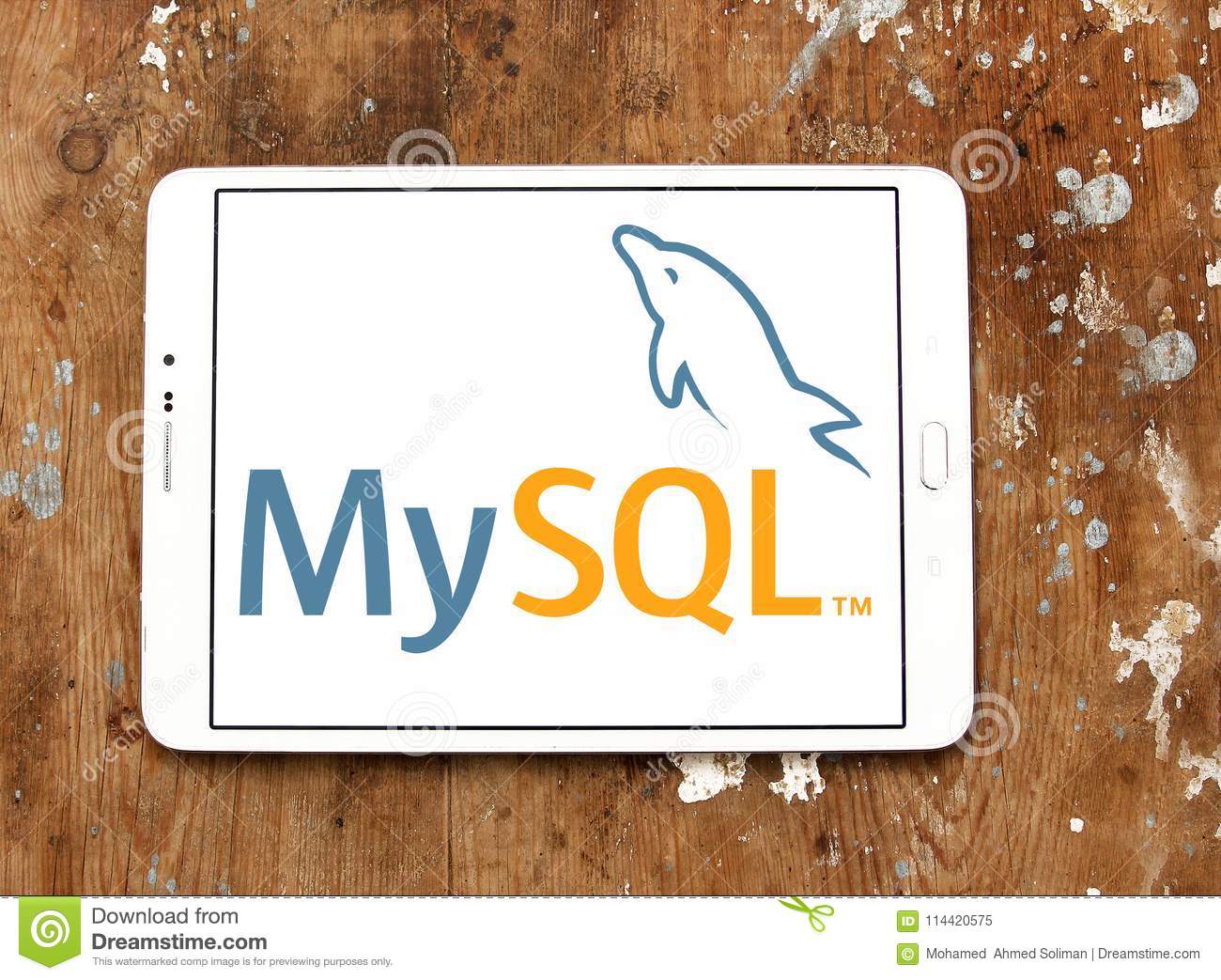 Detail My Sql Logo Nomer 56