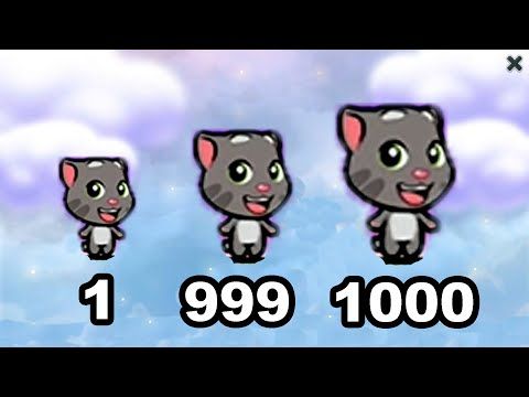 Detail My Talking Tom Level 1000 Nomer 13