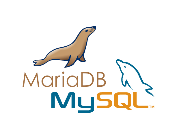 Detail Mysql Icon Nomer 50