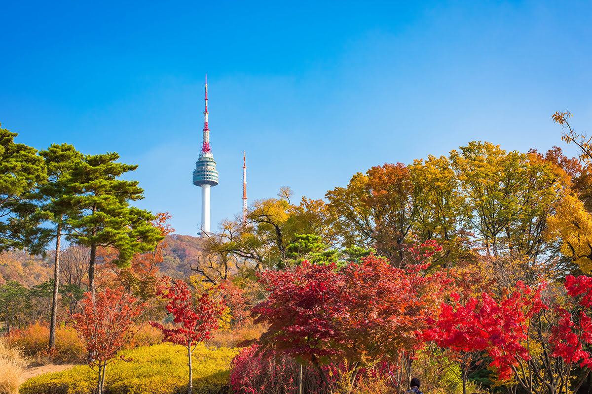 Detail N Seoul Tower Korea Nomer 15