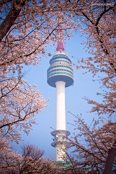 Detail N Seoul Tower Korea Nomer 34