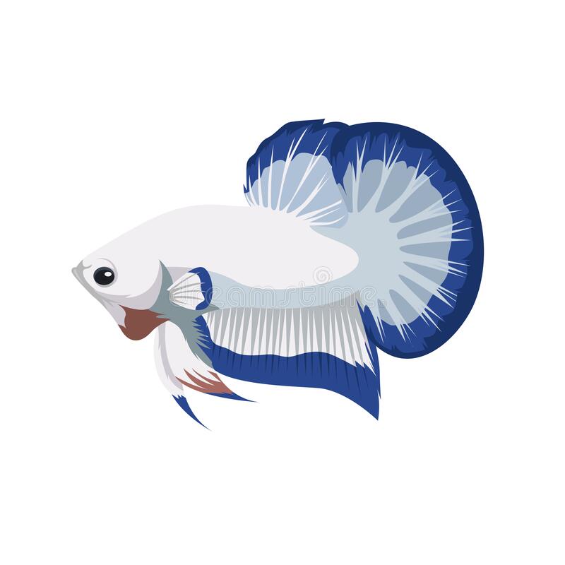 Logo Betta Blue Rim - KibrisPDR