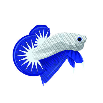 Detail Logo Betta Blue Rim Nomer 14