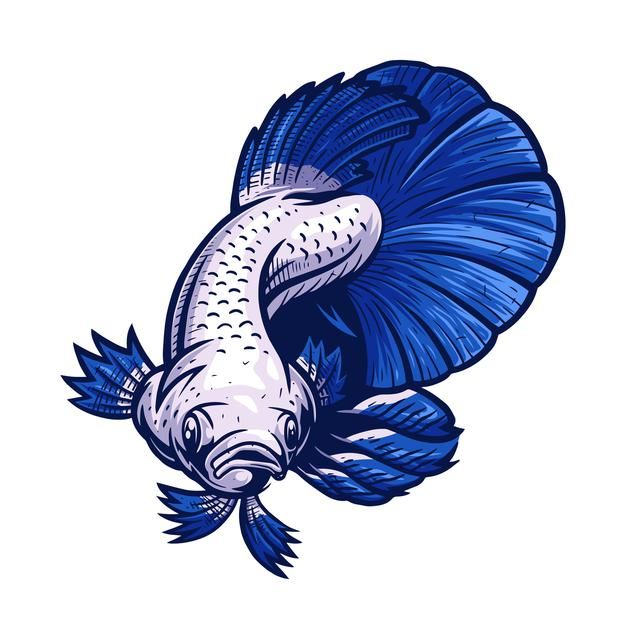 Detail Logo Betta Blue Rim Nomer 8