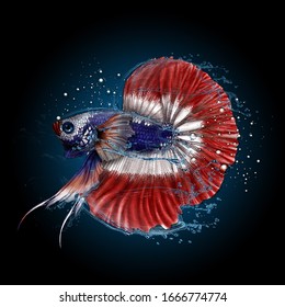 Detail Logo Betta Fish Plakat Nomer 24