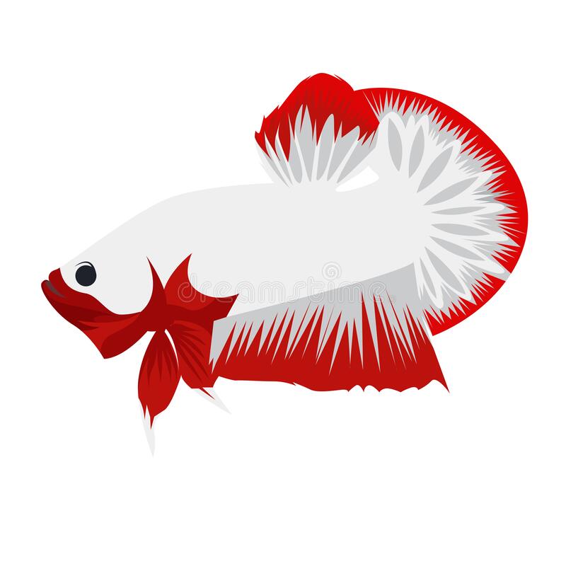 Detail Logo Betta Fish Plakat Nomer 4