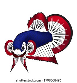 Detail Logo Betta Fish Thailand Nomer 2