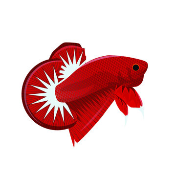 Detail Logo Betta Fish Thailand Nomer 38