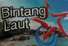 Detail Logo Bintang Laut Nomer 25