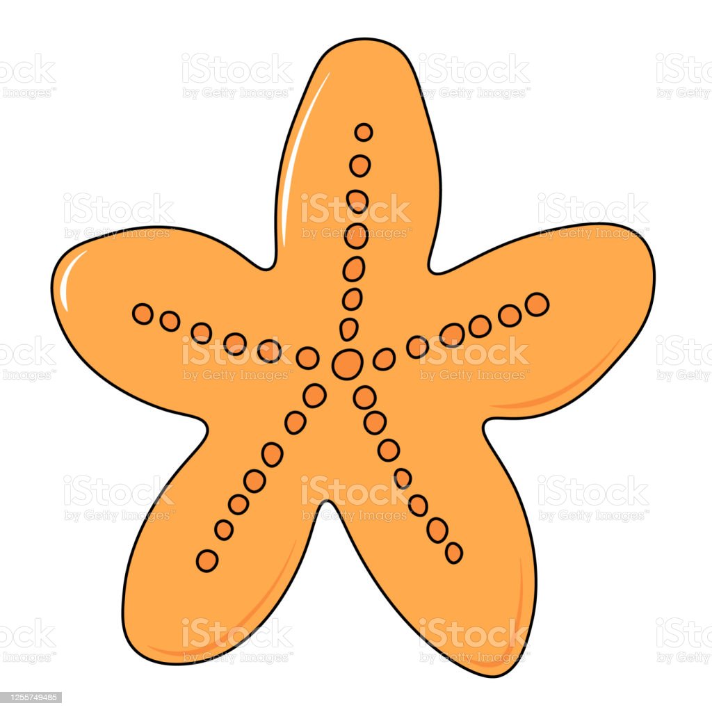 Detail Logo Bintang Laut Nomer 40