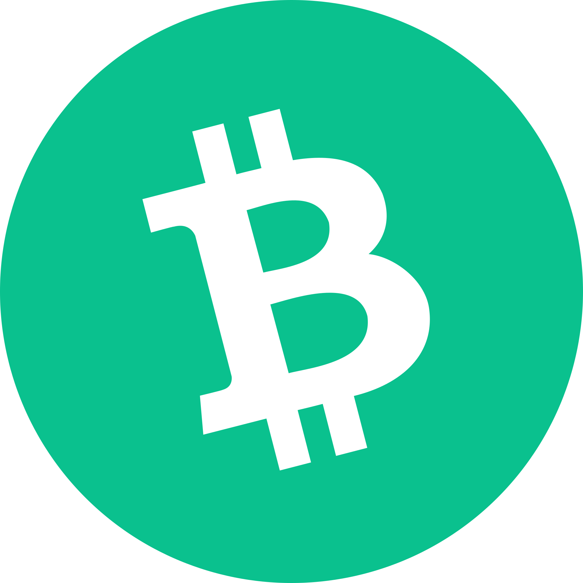 Detail Logo Bitcoin Nomer 47