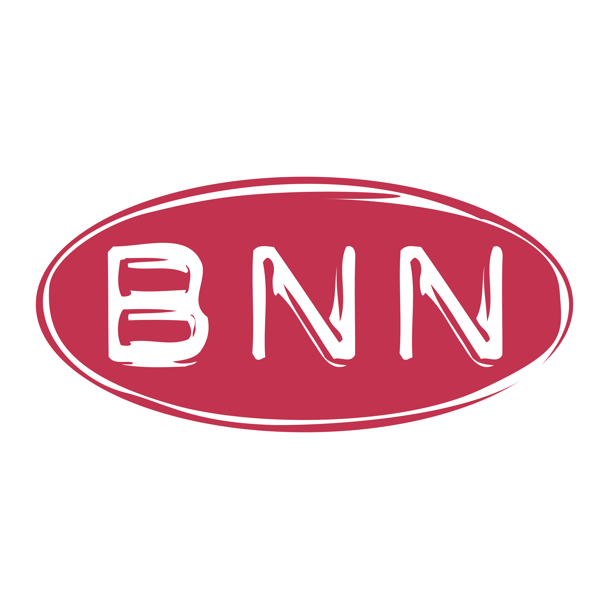 Detail Logo Bnn Hd Nomer 24