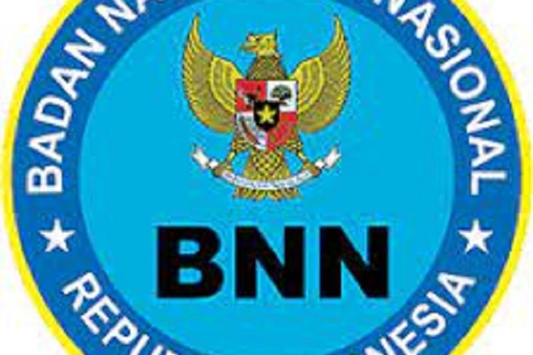 Detail Logo Bnn Hd Nomer 33