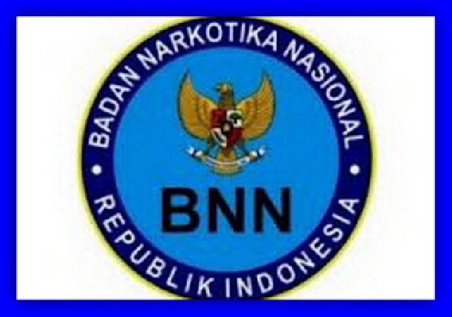 Detail Logo Bnn Hd Nomer 41