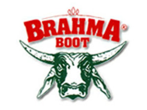 Detail Logo Brahma Nomer 53