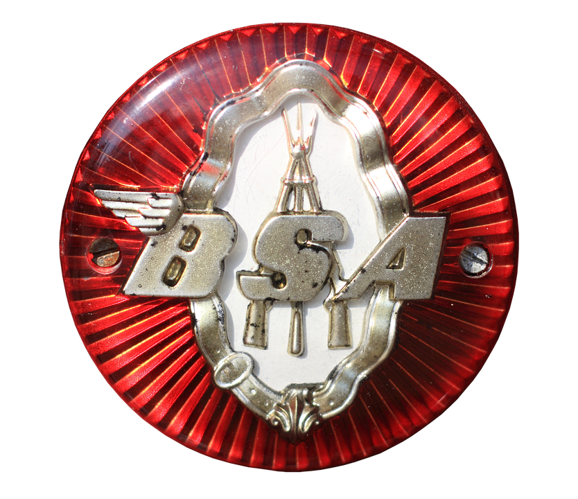 Detail Logo Bsa Nomer 12