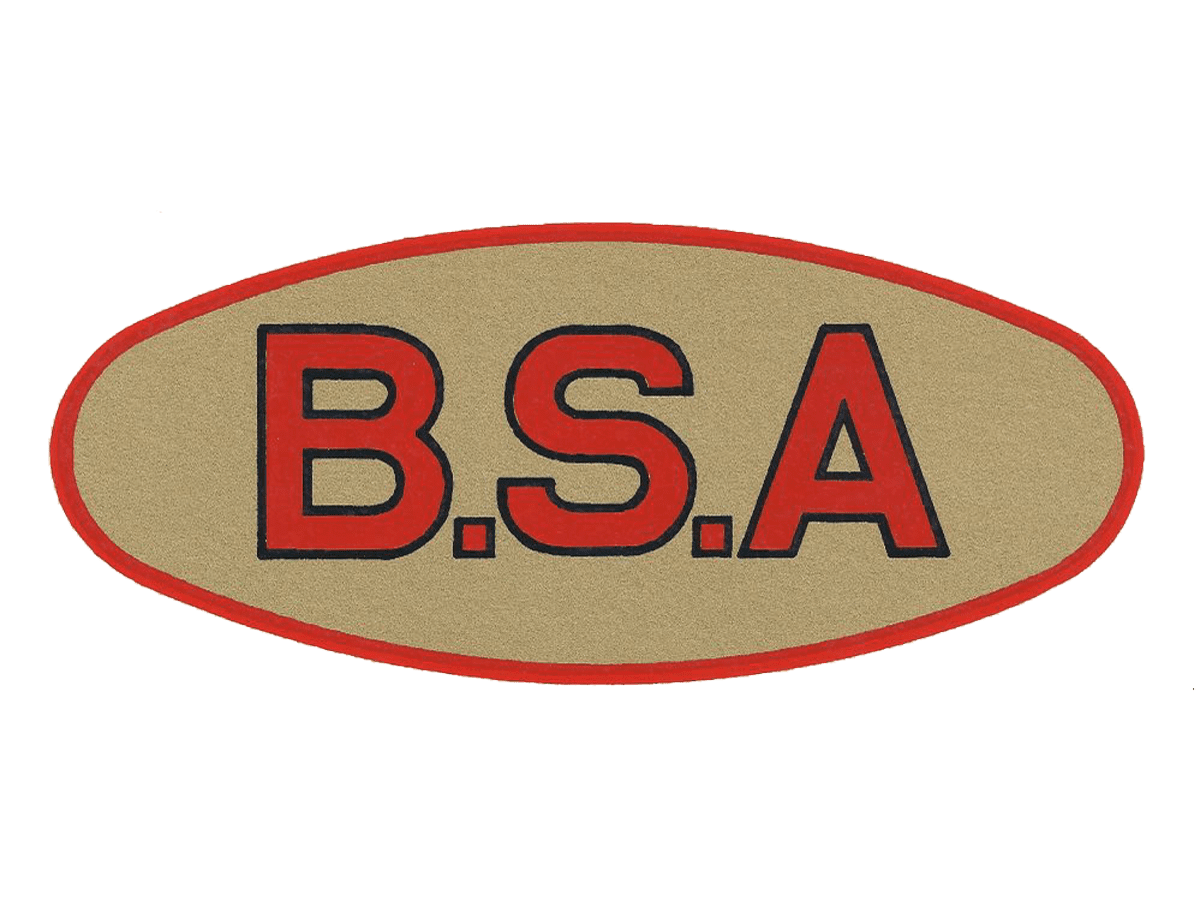 Detail Logo Bsa Nomer 14