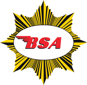 Detail Logo Bsa Nomer 4