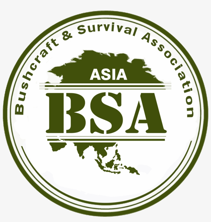 Detail Logo Bsa Nomer 31