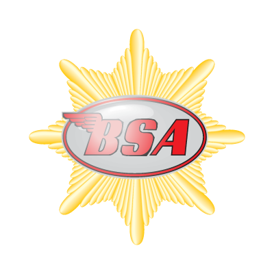 Detail Logo Bsa Nomer 32