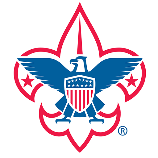 Detail Logo Bsa Nomer 41