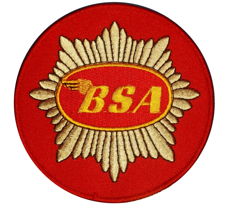 Detail Logo Bsa Nomer 55