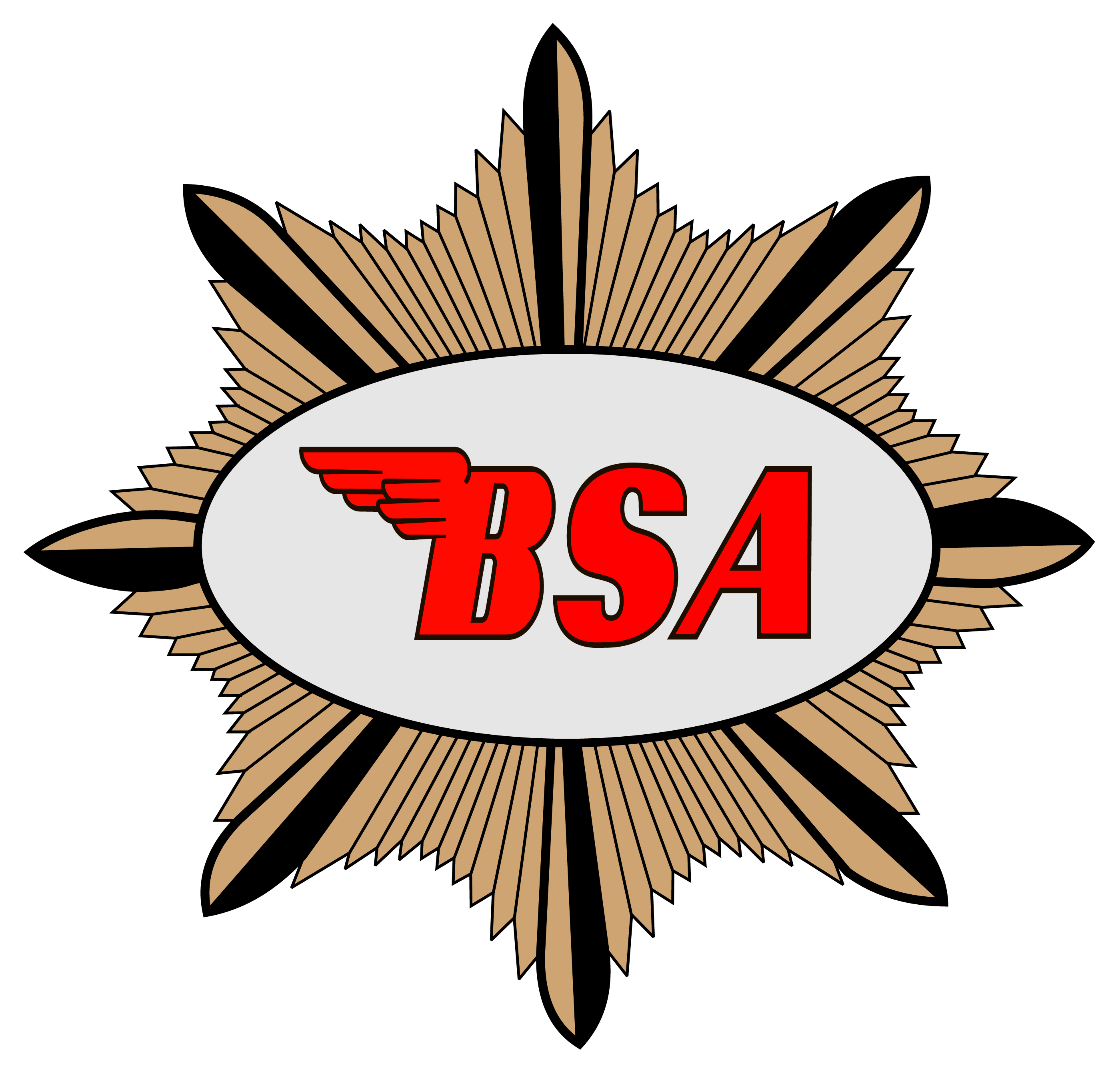 Detail Logo Bsa Nomer 8