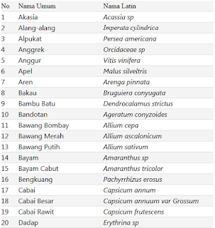 Detail Nama Bunga Dari Huruf A Sampai Z Nomer 44