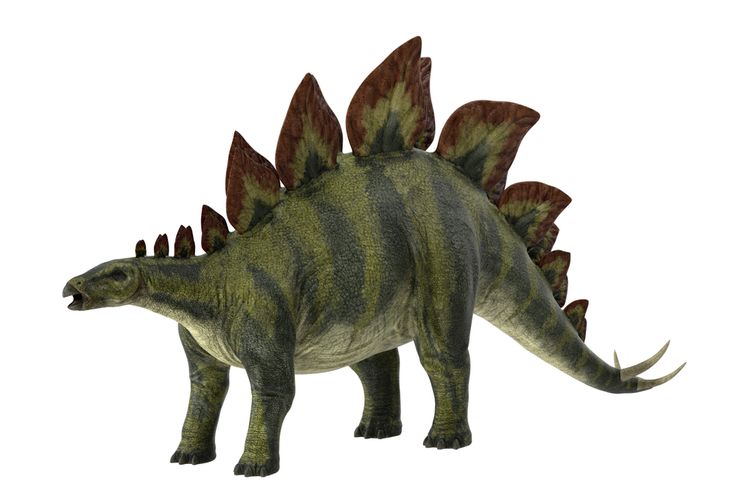 Detail Nama Dan Gambar Dinosaurus Nomer 3